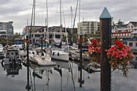 Sidney marina with flowers